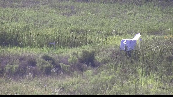 capture-5-23-07-29_18-21-44-56