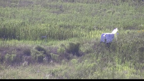 capture-5-23-07-29_18-23-54-52