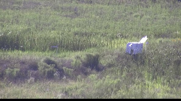 capture-5-23-07-29_18-30-24-44