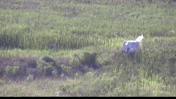 capture-5-23-07-29_18-36-54-44