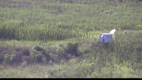 capture-5-23-07-29_18-39-05-53