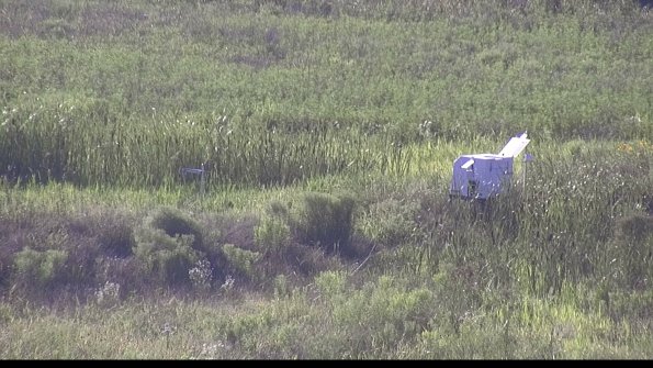 capture-5-23-07-29_18-49-55-38