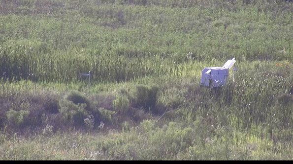 capture-5-23-07-29_19-00-45-30