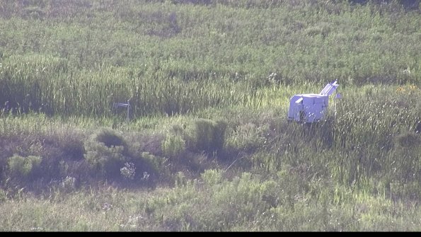 capture-5-23-07-29_19-26-44-43