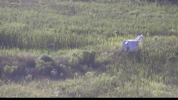 capture-5-23-07-29_19-28-55-53