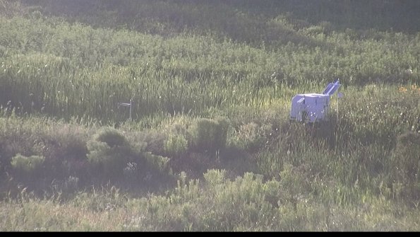 capture-5-23-07-29_20-01-25-42