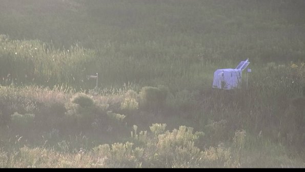 capture-5-23-07-29_20-23-06-26