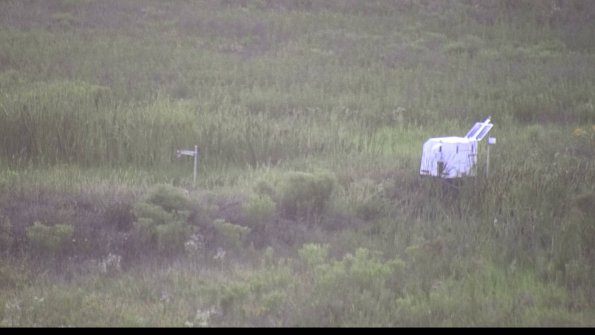 capture-5-23-07-29_20-55-35-55