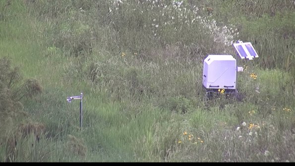 capture-6-23-07-29_07-32-18-46