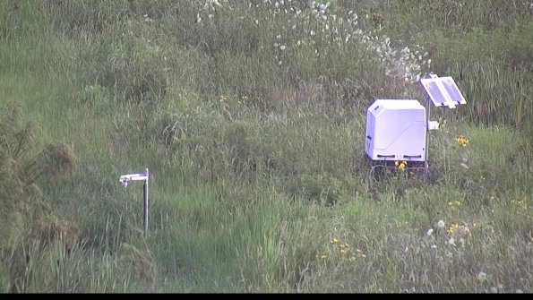 capture-6-23-07-29_07-36-39-06