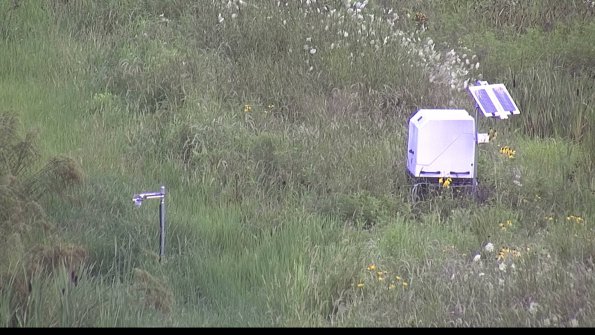 capture-6-23-07-29_08-09-09-15