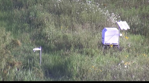 capture-6-23-07-29_08-13-28-38