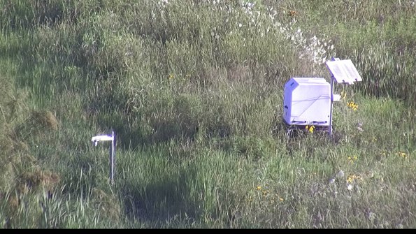 capture-6-23-07-29_08-15-39-34