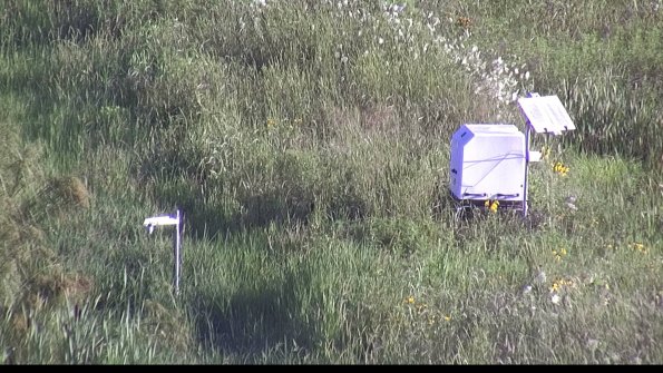 capture-6-23-07-29_08-17-48-54