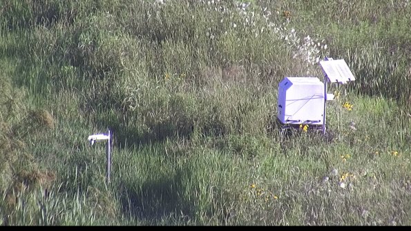 capture-6-23-07-29_08-22-08-67