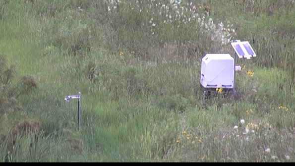 capture-6-23-07-29_09-01-08-95