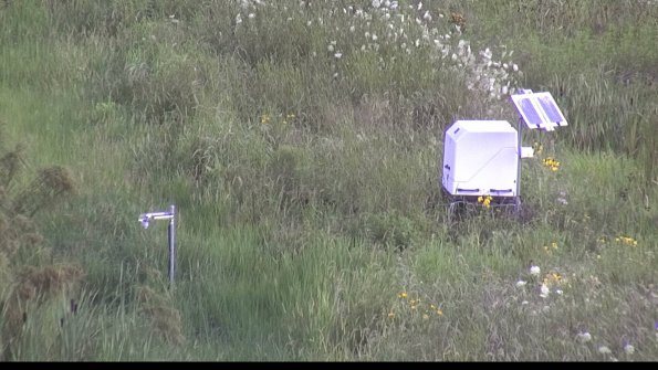 capture-6-23-07-29_09-11-59-01