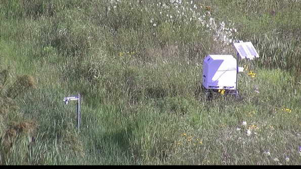 capture-6-23-07-29_09-14-09-34