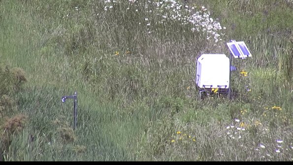 capture-6-23-07-29_13-31-26-09