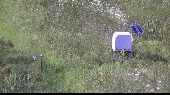 capture-6-23-07-29_17-36-24-62