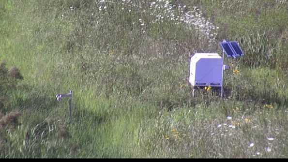 capture-6-23-07-29_18-02-23-69