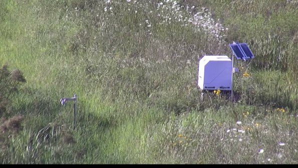 capture-6-23-07-29_18-24-04-60