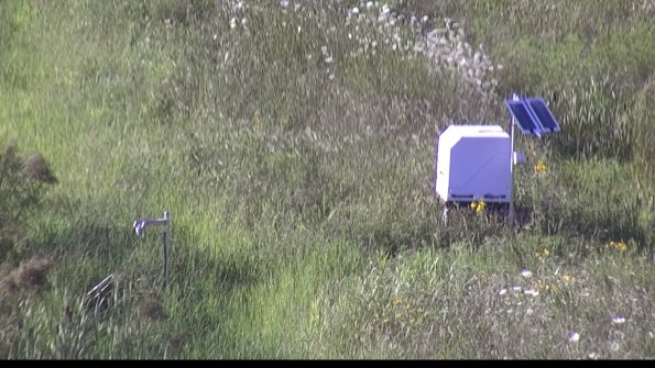 capture-6-23-07-29_18-37-04-68