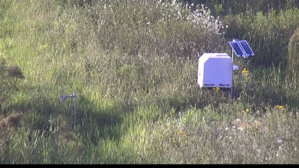 capture-6-23-07-29_19-57-14-74