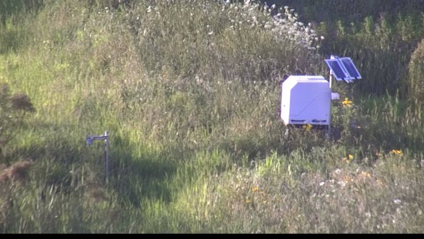 capture-6-23-07-29_20-05-54-43