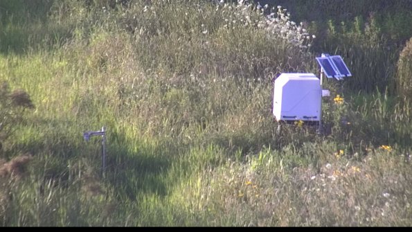 capture-6-23-07-29_20-08-04-49