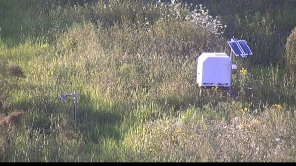 capture-6-23-07-29_20-10-15-35