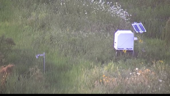 capture-6-23-07-29_20-29-45-30