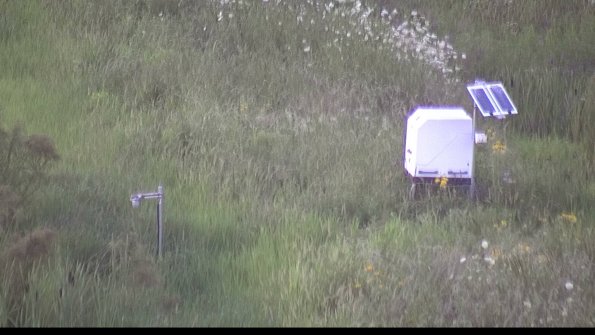 capture-6-23-07-29_20-53-34-50