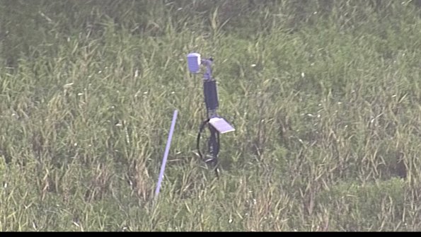 capture-7-23-07-29_08-11-29-29