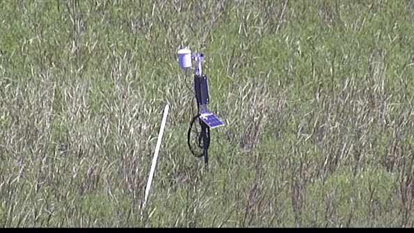 capture-7-23-07-29_13-01-14-64