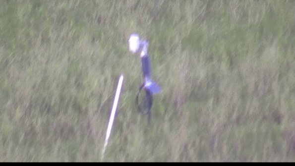 capture-7-23-07-29_20-53-44-48