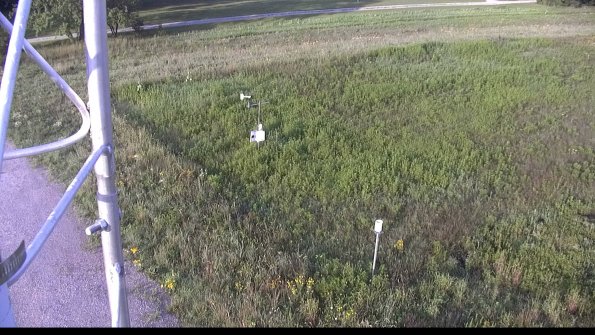 capture-1-23-07-31_07-51-41-83