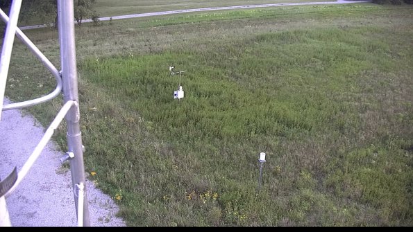 capture-1-23-07-31_20-22-55-51