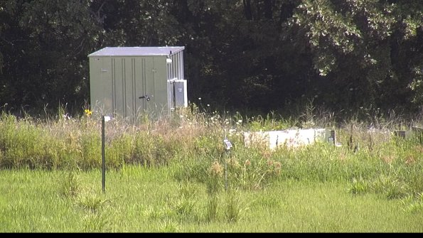 capture-2-23-07-31_11-10-16-24