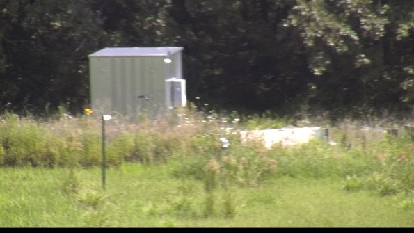 capture-2-23-07-31_11-16-46-26