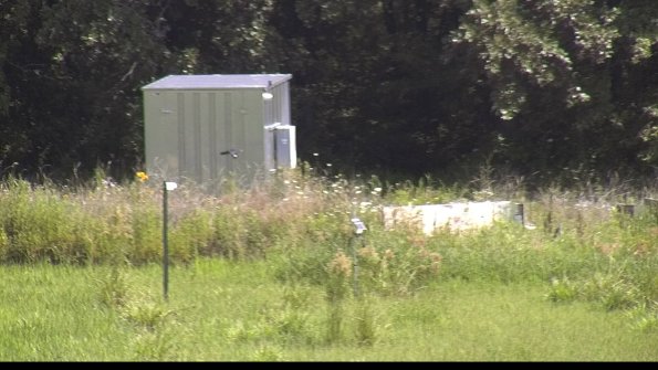 capture-2-23-07-31_11-18-55-63