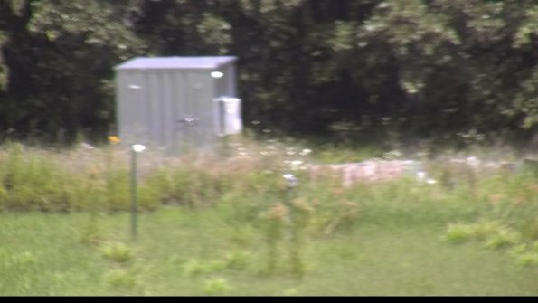 capture-2-23-07-31_13-13-04-05