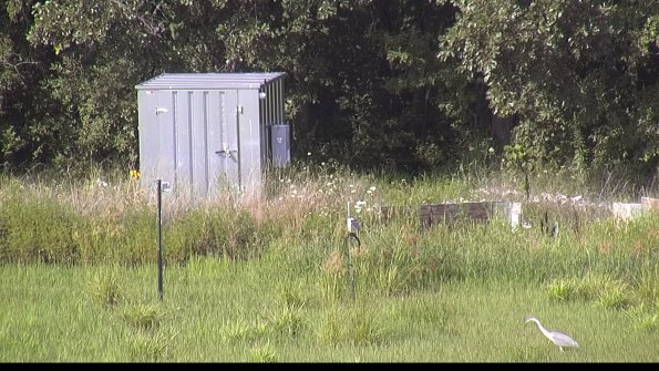 capture-2-23-07-31_17-11-53-33