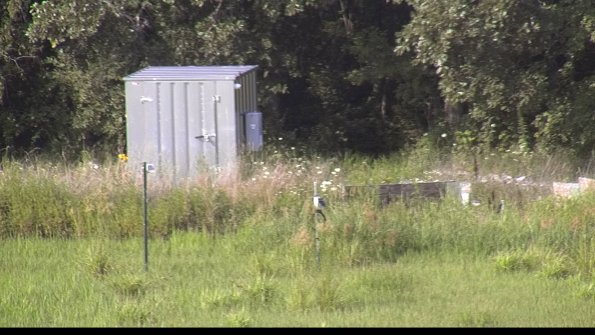 capture-2-23-07-31_17-50-53-25