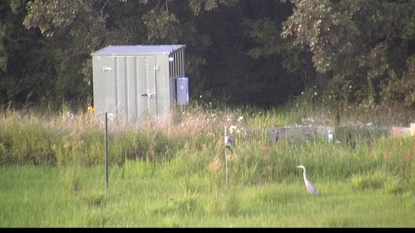 capture-2-23-07-31_19-50-39-34