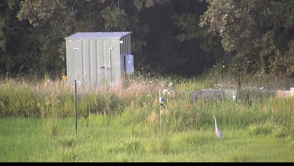 capture-2-23-07-31_19-54-59-23