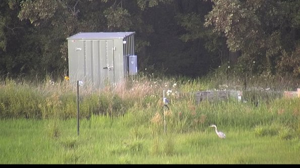 capture-2-23-07-31_20-03-39-29