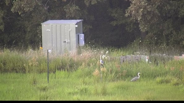 capture-2-23-07-31_20-10-09-31