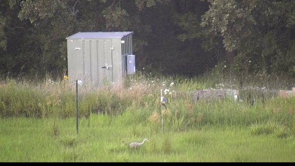 capture-2-23-07-31_20-14-29-33