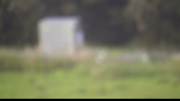 capture-2-23-07-31_20-16-38-43